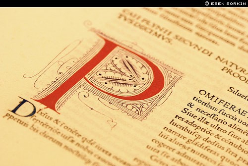 eben sorkin decorated initial cap from illuminated manuscript