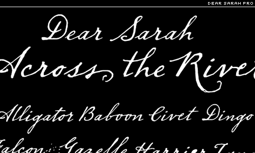 dear sarah pro